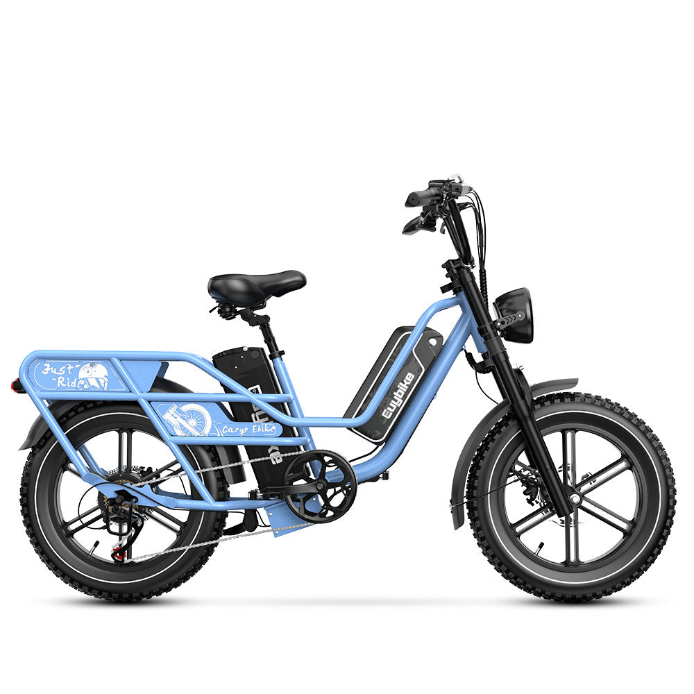 Bicicletta elettrica W1 a lunga autonomia vista frontale colore blu