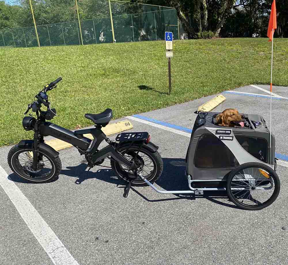 K6 Pro (K6F) Long Range Fat Tire Electric Bike