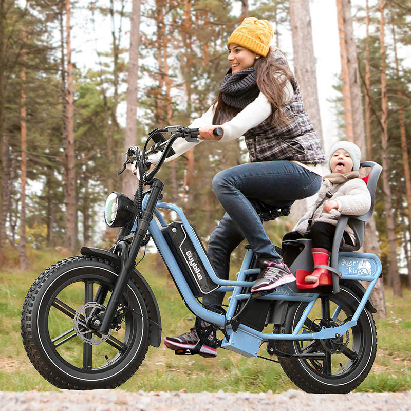 Euybike W1 E Lastenrad mit Doppelakku – 250 km Reichweite, 96 Nm Drehmoment – Euybike EU